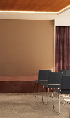 Elegantly designed living room
